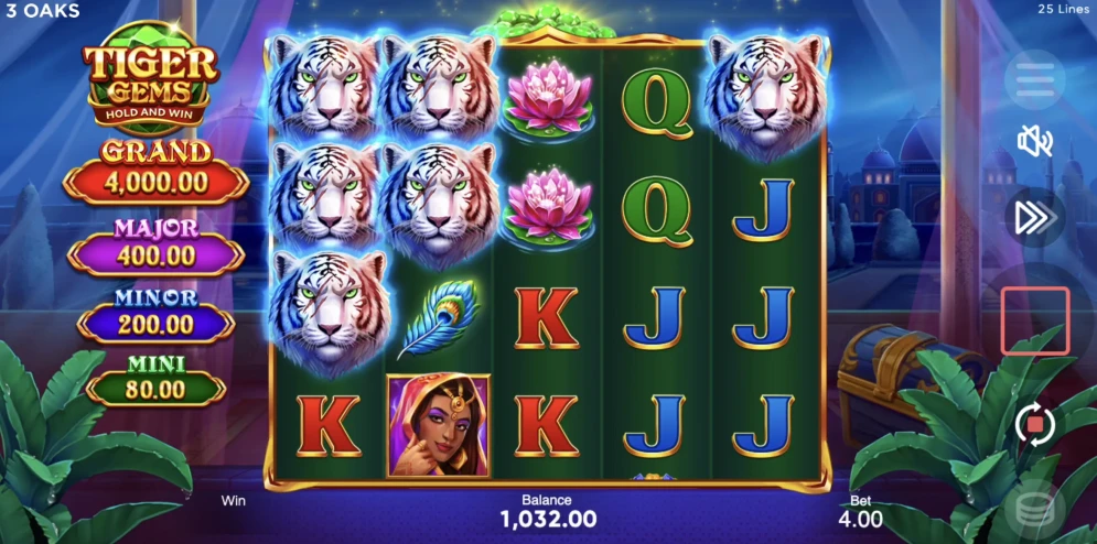 Tiger Gems Slot
